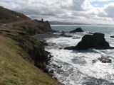 Tidepooling Cove